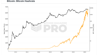 Bitcoin Hashrate Hits All-Time High as Trump Vows to Boost Industry