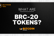 What Are BRC-20 Tokens? An Introduction