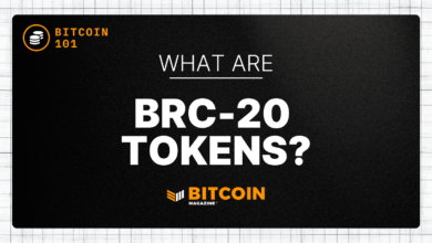 What Are BRC-20 Tokens? An Introduction