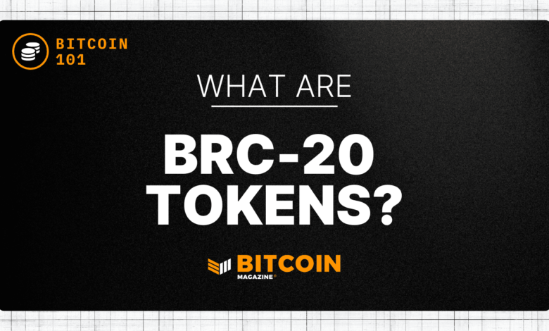 What Are BRC-20 Tokens? An Introduction