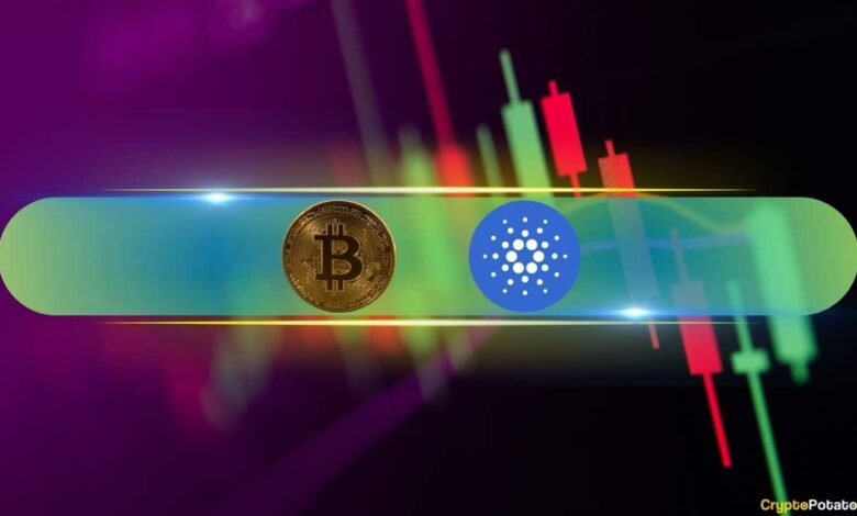 Cardano Explodes by Double Digits, Bitcoin Taps K (Market Watch)