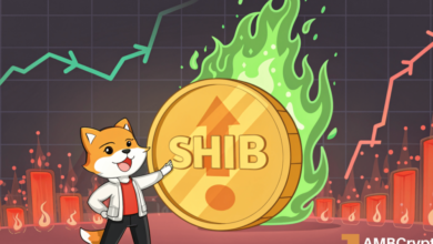 Shiba Inu: How a 580% burn rate surge can help SHIB holders