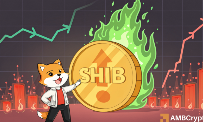 Shiba Inu: How a 580% burn rate surge can help SHIB holders