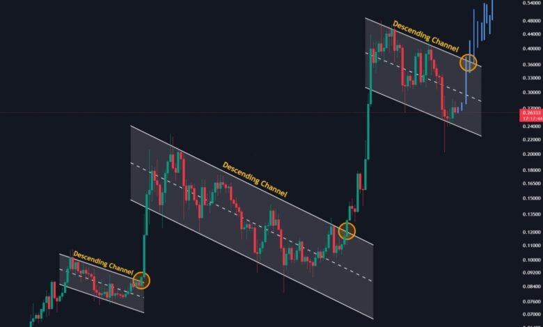 Dogecoin Repeating History? This Setup Led To 150% Gains