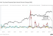 Retailers Backing Off From Leveraged Crypto Trades: Meme Coin Open Interest Plunges 52%