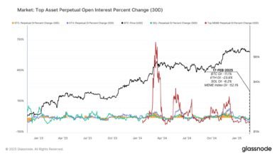 Retailers Backing Off From Leveraged Crypto Trades: Meme Coin Open Interest Plunges 52%