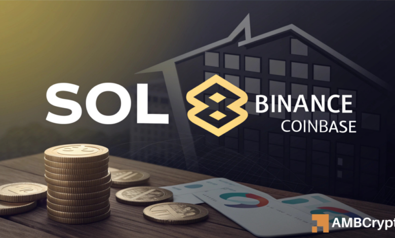 Solana crashes 10% as Binance dumps M – A classic market flush?