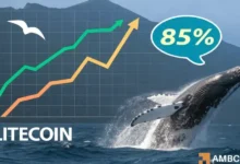 Litecoin whales turn bullish as LTC ETF odds reach nearly 90% – What next?