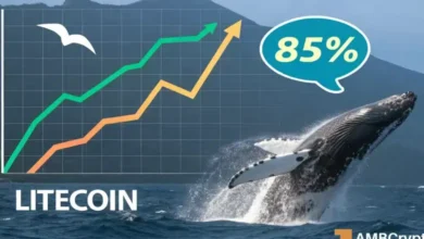 Litecoin whales turn bullish as LTC ETF odds reach nearly 90% – What next?