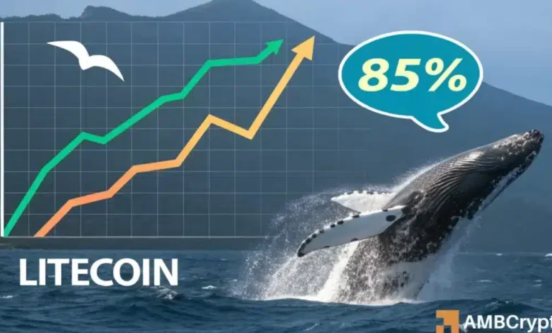 Litecoin whales turn bullish as LTC ETF odds reach nearly 90% – What next?