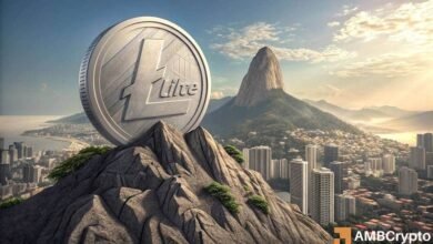 Canary’s Litecoin ETF listed on DTCC – Will trading begin soon?