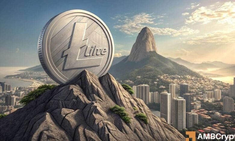 Canary’s Litecoin ETF listed on DTCC – Will trading begin soon?