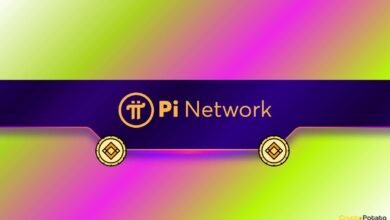 Why Did Pi Network’s PI Token Gain 65% in 24 Hours?