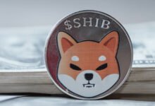 Shiba Inu’s Shibarium Records Heartbreaking 96% Crash In Transactions, What’s Going On?