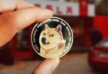 Technical Indicator Shows Ongoing Rally For Dogecoin