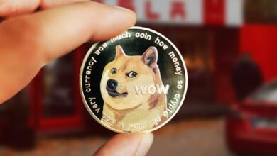 Technical Indicator Shows Ongoing Rally For Dogecoin