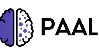 What Is PAAL AI Crypto