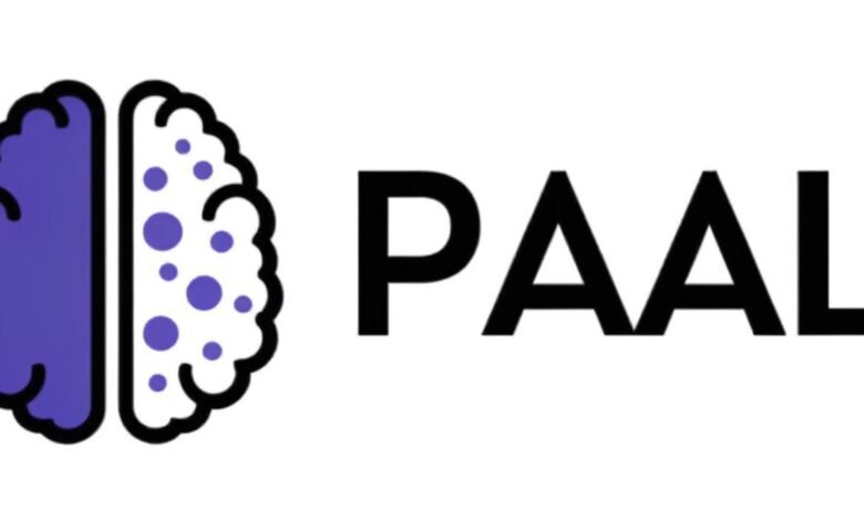 What Is PAAL AI Crypto